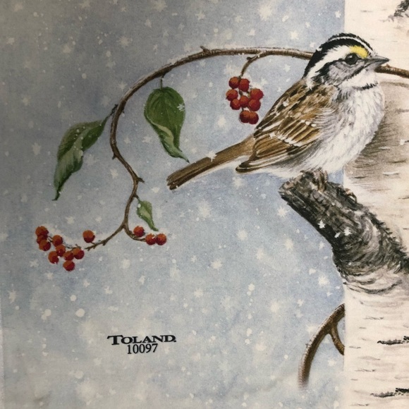 Toland Cardinal Winter Snow Birds Full Size Flag - Picture 9 of 9